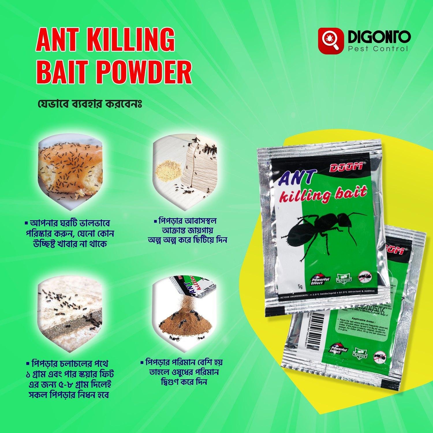 Best Ant Killer For Apartments